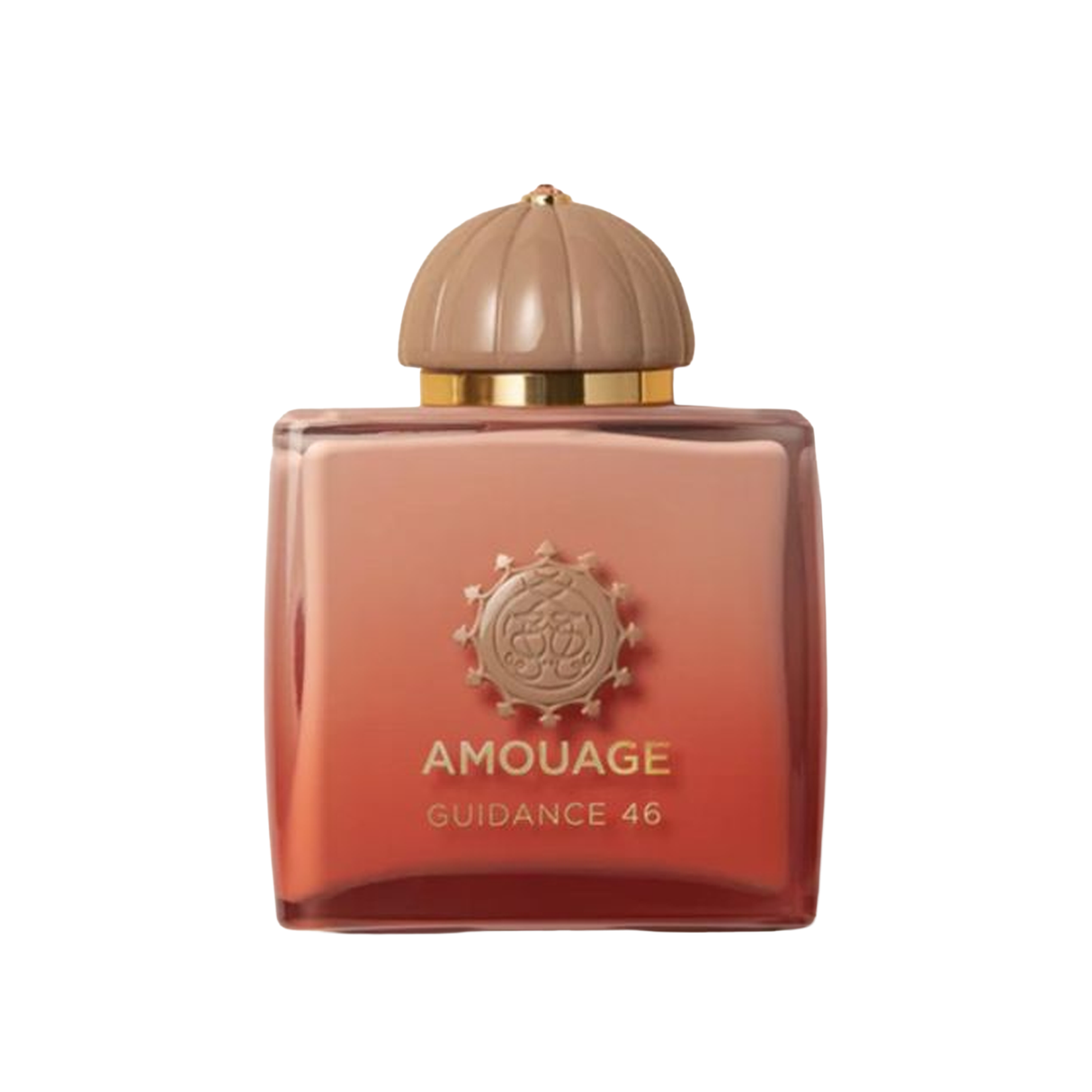 Amouage Guidance 46 Extrait de Parfum For Unisex - 100ml
