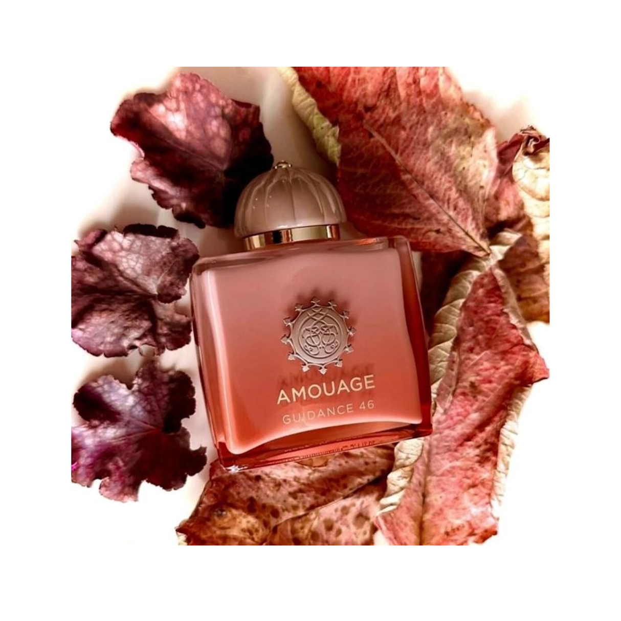 Amouage Guidance 46 Extrait de Parfum For Unisex - 100ml