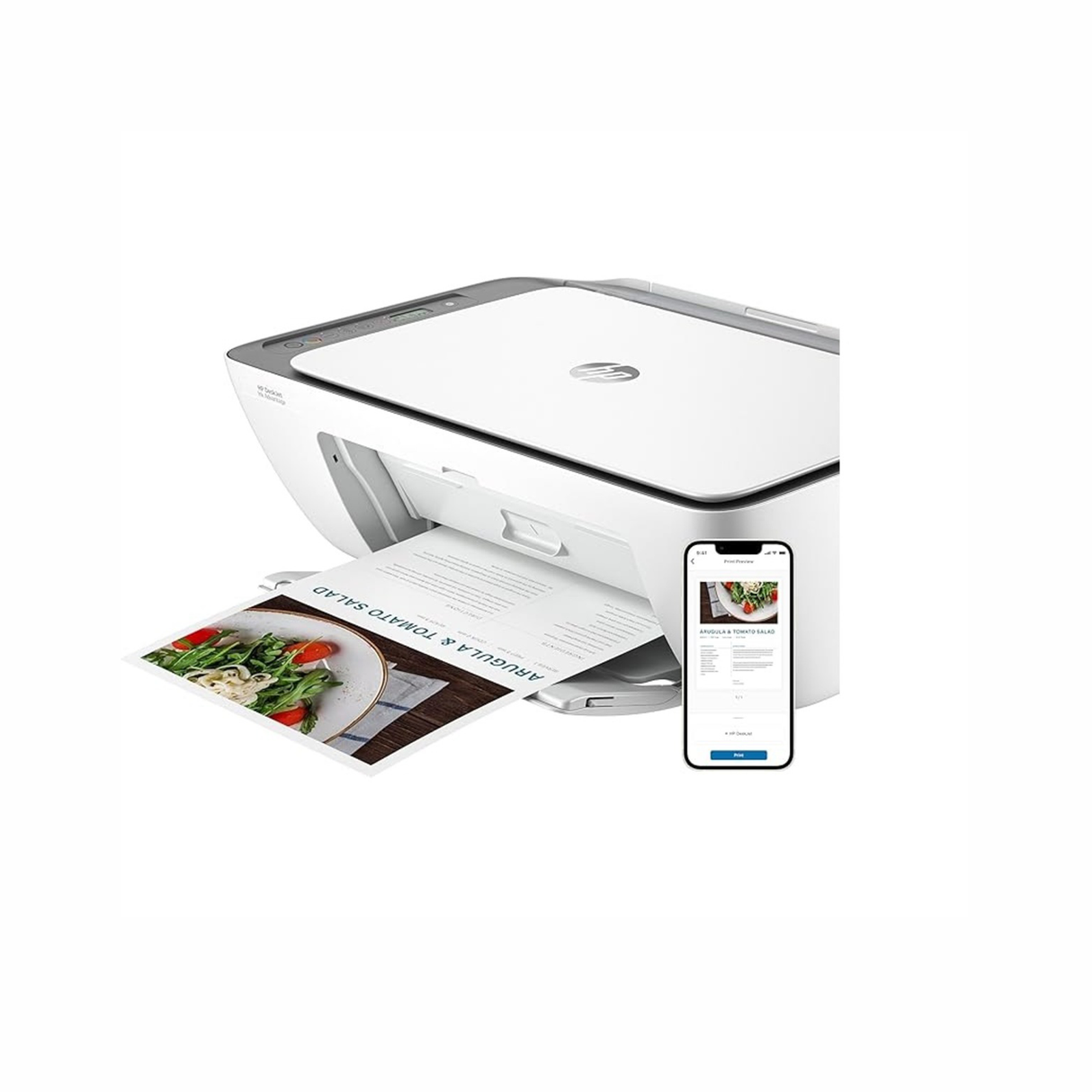 HP Inkjet All in One Printer - 2876