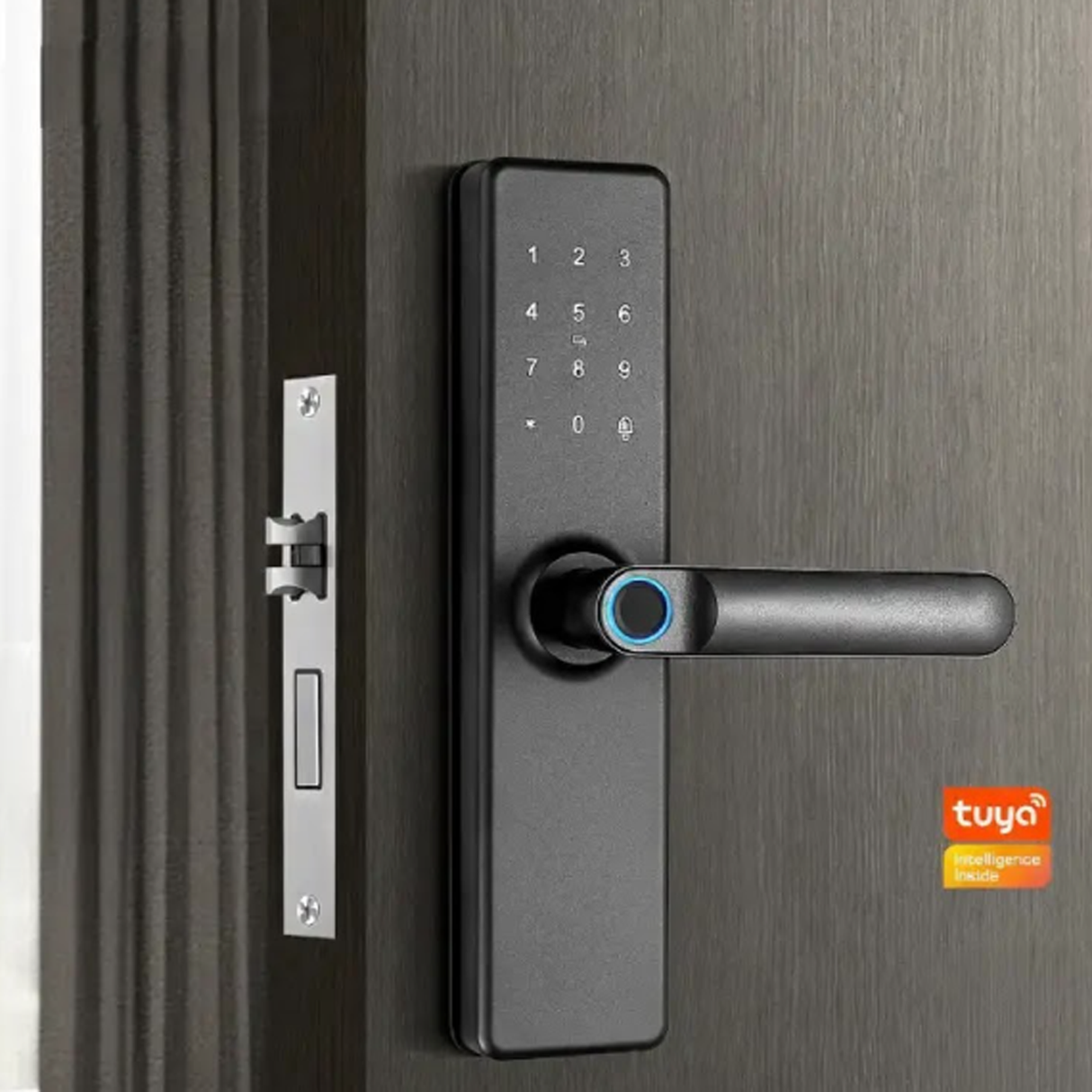 TUYA Smart Wooden Door Lock | 5 Unlock Methods | Wooden Doors Compatible