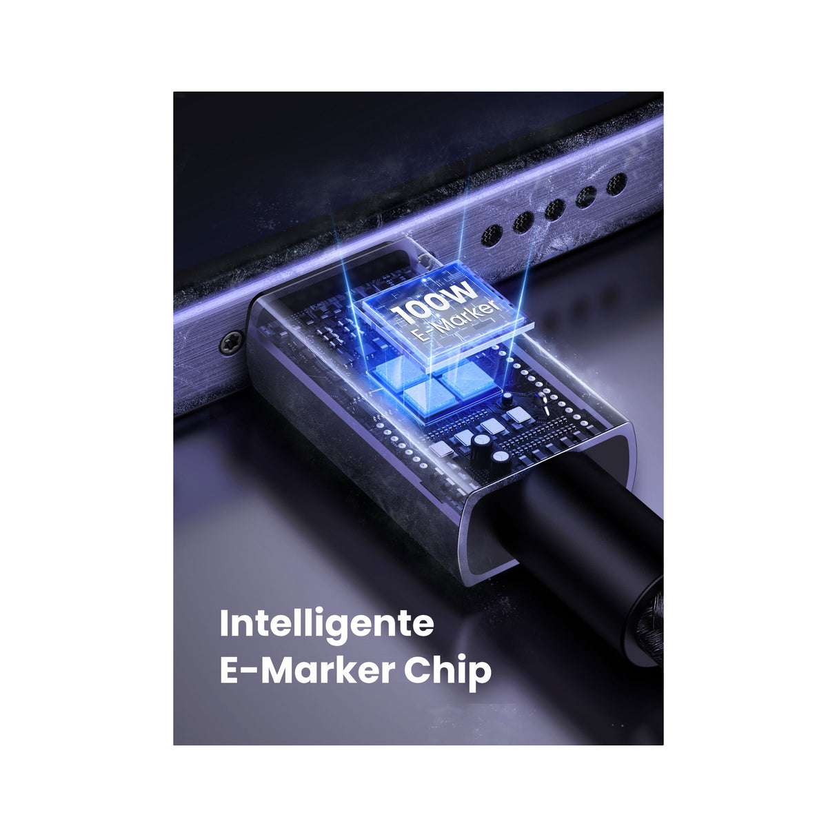 Travel Bundle 01 - Zayoom