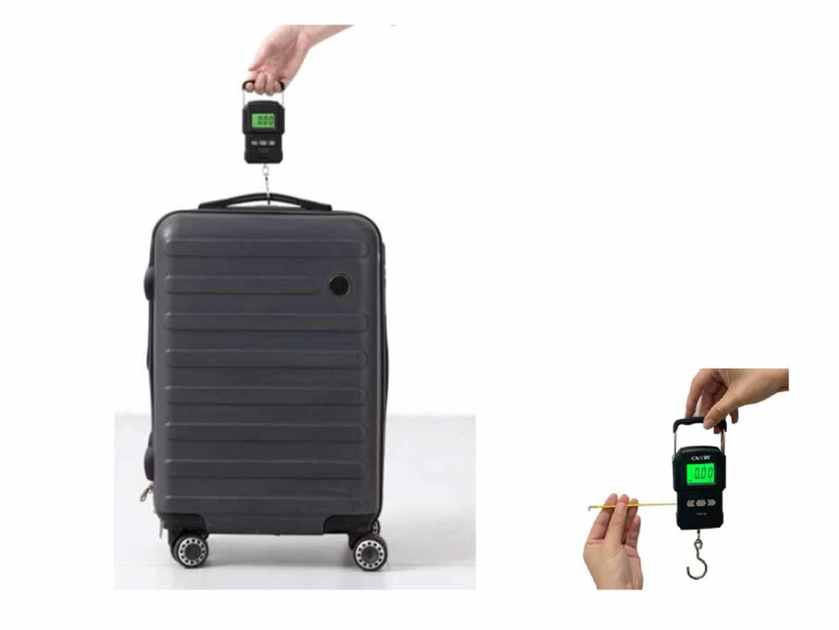 Orca Electronic portable Scale - Zayoom