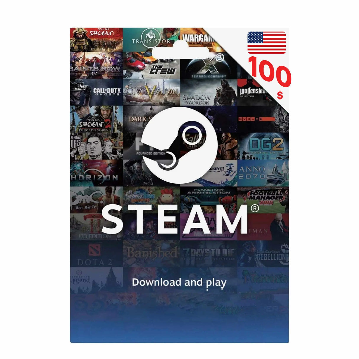 Steam 100$ USA