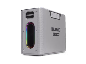 هاي فيوتر مكبر صوت ميوزيك بوكس - فضي