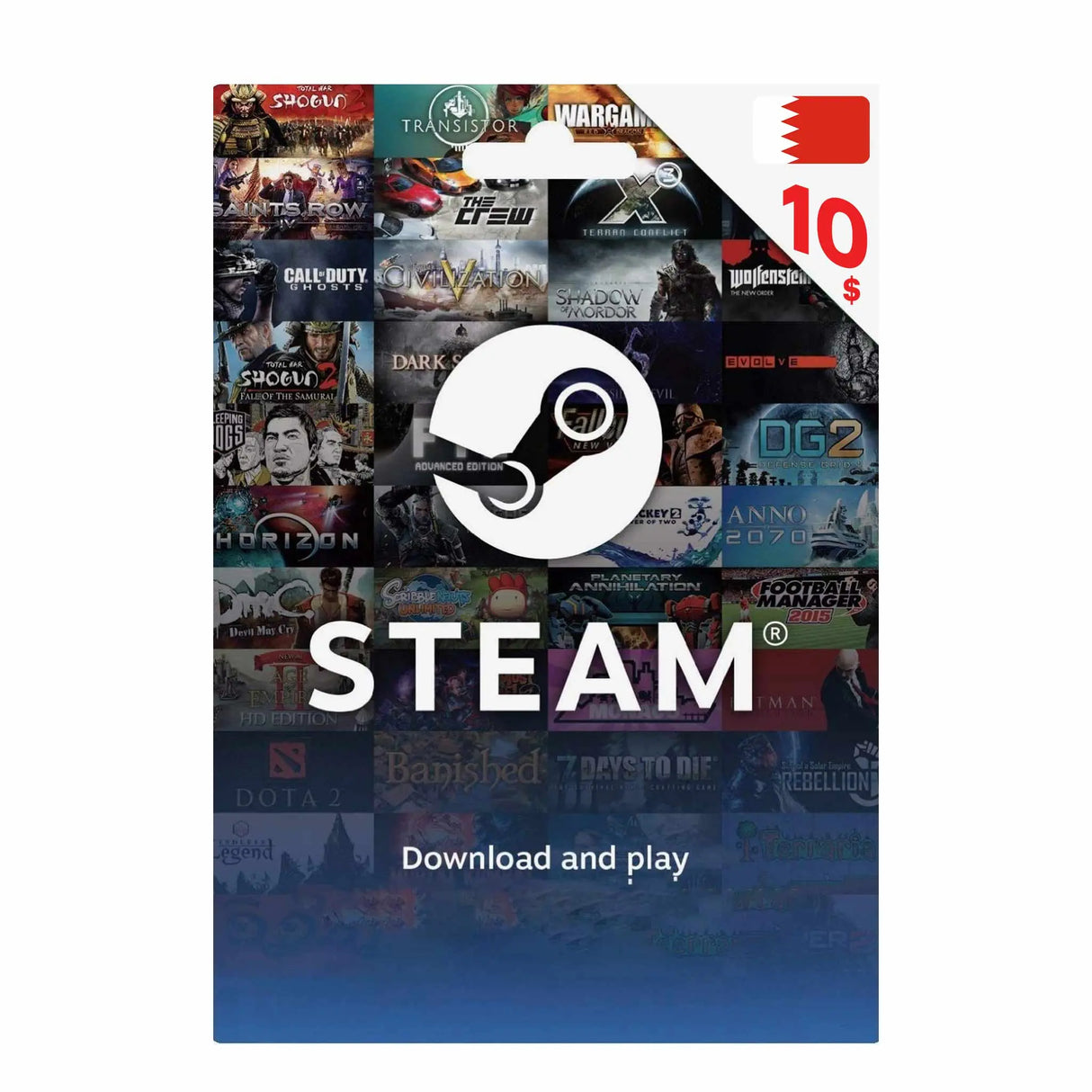 Steam 10$ BH