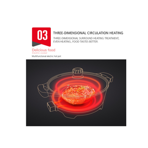 وعاء طهي كهربائي متعدد الاستخدامات 9 في 1 – بسعة 9 لترات