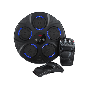 Black Bull Boxing target training