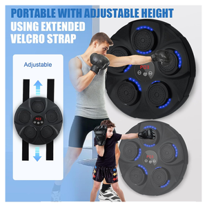 Black Bull Boxing target training