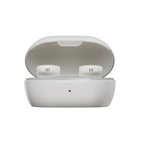 Bose QuietComfort Earbuds 24 - Wireless / USB-C - White