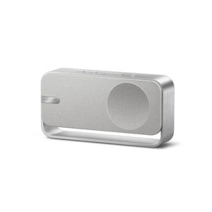 Bose SoundLink Home Portable Speaker - Light Silver