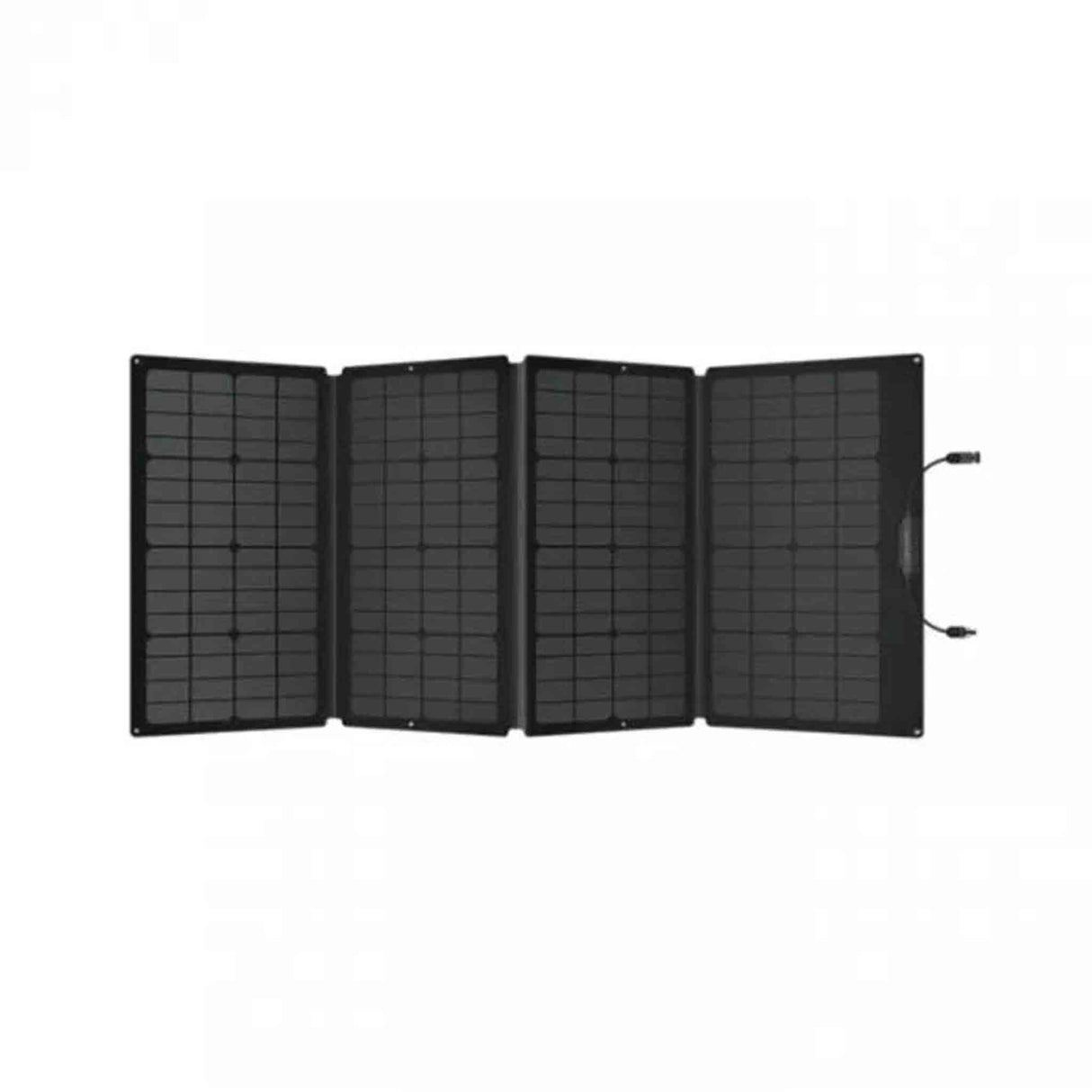 Ecoflow 160W Portable Solar Panel