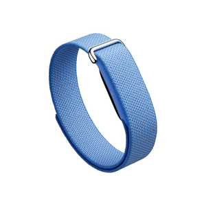 Google Fitbit Air - Lavender