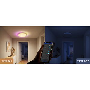 Govee 38cm RGBICWW Smart Ceiling Light Pro - H60A6