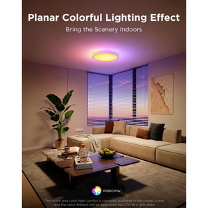 Govee 38cm RGBICWW Smart Ceiling Light Pro - H60A6