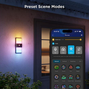 Govee Smart Outdoor Wall light