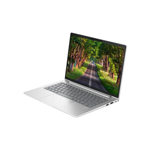 HP ProBook 440 G11 14" WUXGA Laptop - CPU Ultra 5 125U, RAM 8GB DDR5, SSD 512GB M.2, Windows 11 Pro - Pike Silver