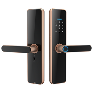 High-Quality Smart TTlock for the Wooden Doors C91 Pro - Bronze Color