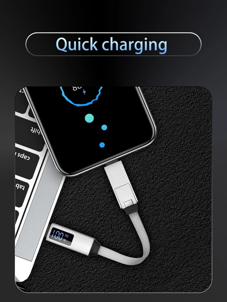 Portable Magnetic Keyring 3 in 1 USB Charger Data Cord, PD 100W USB C to Type C - Gray