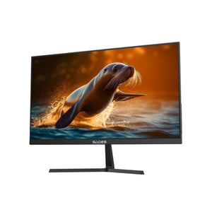 سيدس أيه يو-سيليون شاشة ألعاب 24 بوصة فل إتش دي آي بي إس - 240 هرتز - 0.5 ميلي ثانية - إتش دي إم آي 2.1  - أسود