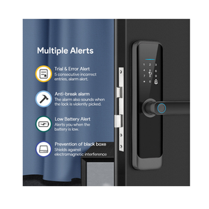 Smart TTlock for the Wooden Doors A270-GP - Silver/Black Color
