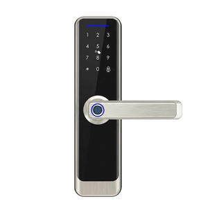 Smart TTlock for the Wooden Doors A270-GP - Silver/Black Color