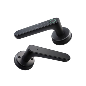 Tuya Smart Door Lock | Fingerprint, Password, Card, App & Key Access