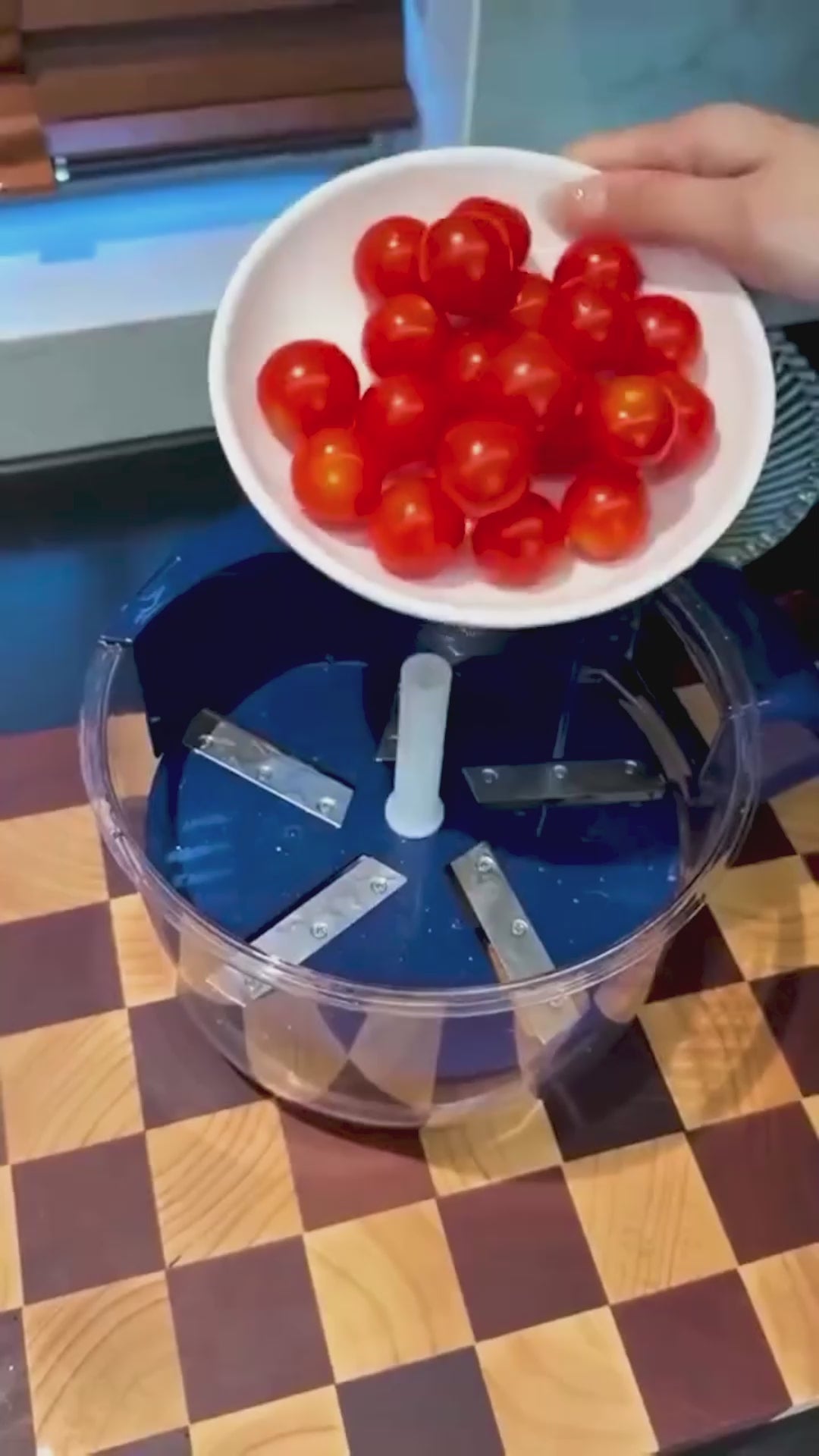 Fruit and Vegetable Peeler